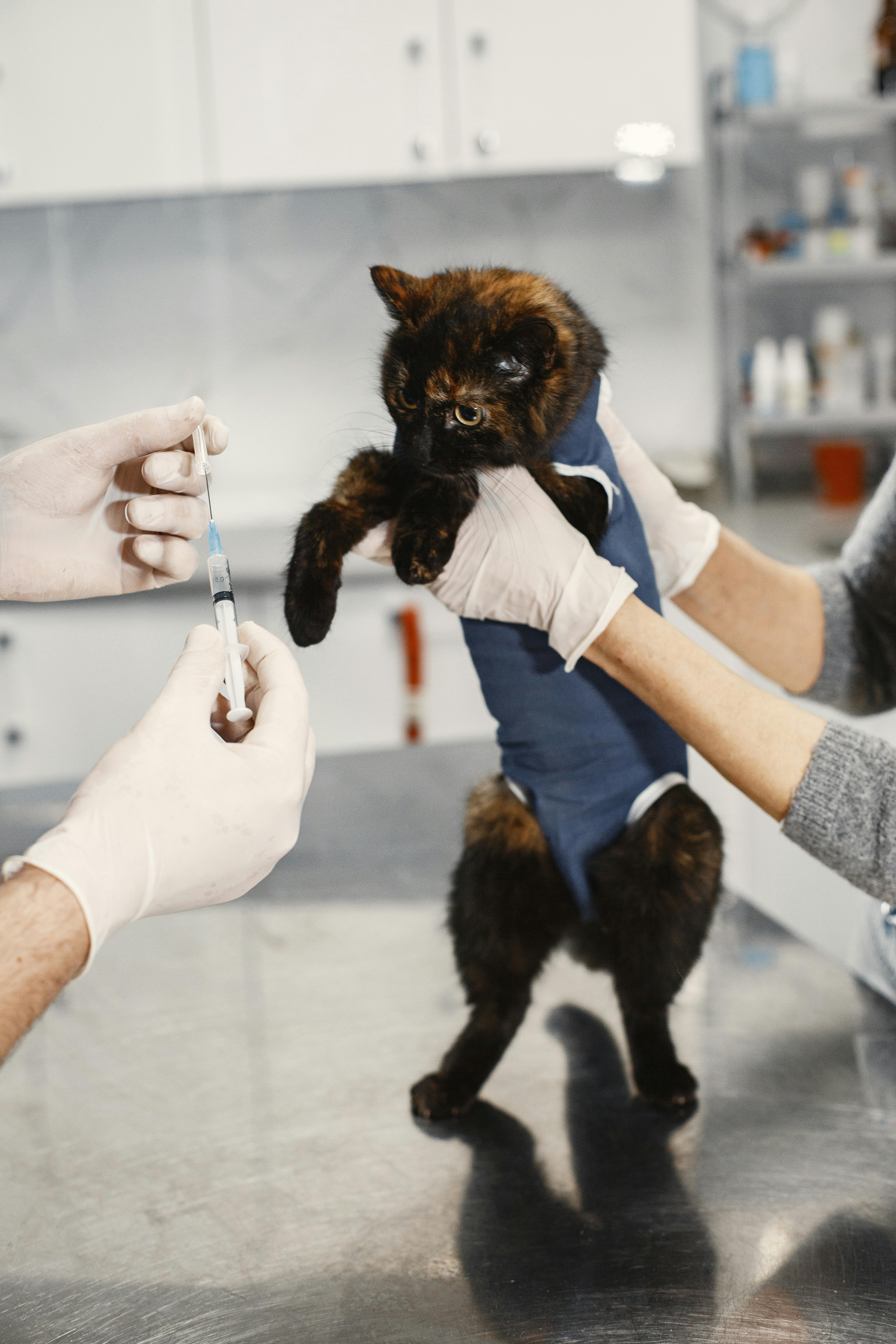 Automated Triage