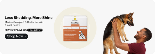 The Ultimate Guide to Pet Health & Wellness