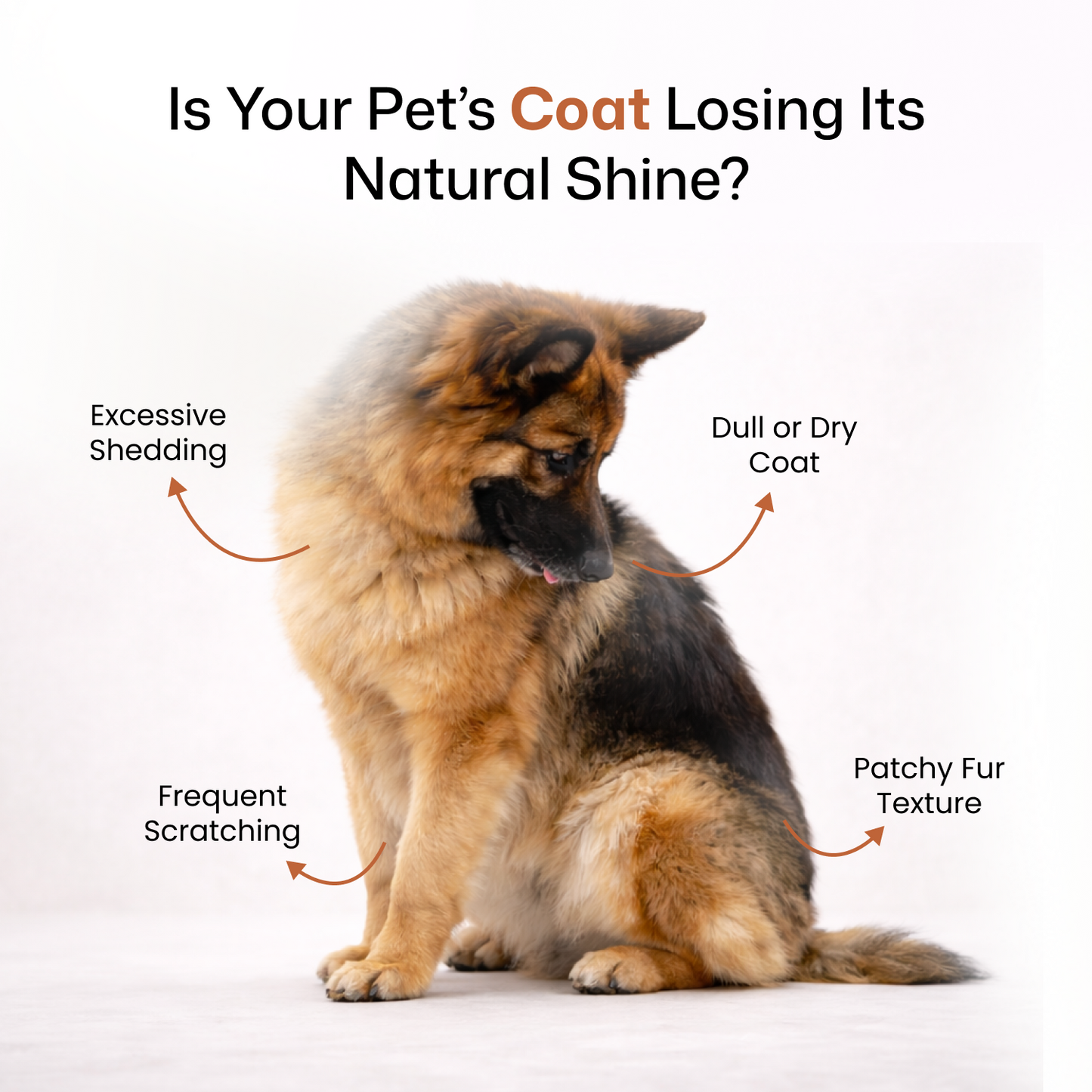 FurrMax