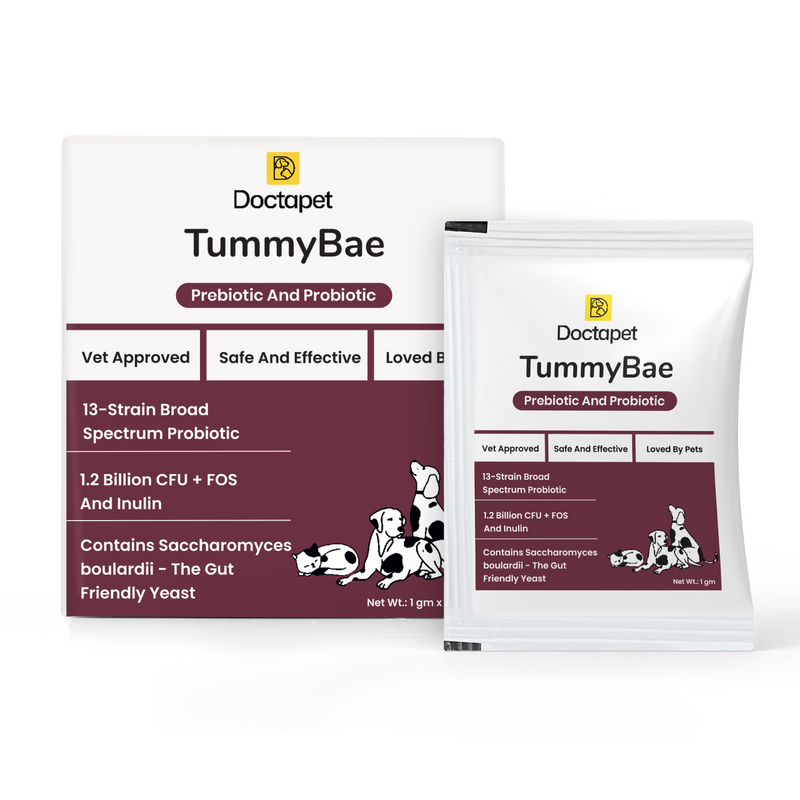 TummyBae