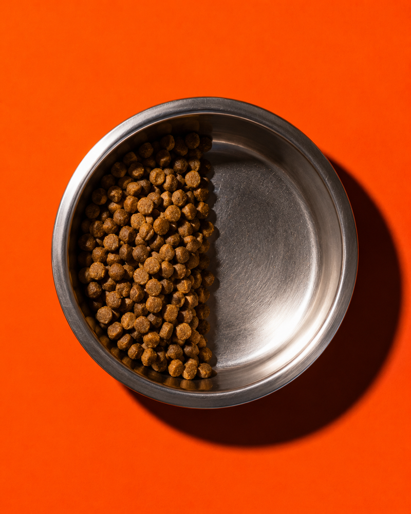 Most pet food leaves critical nutritional gaps — every single day