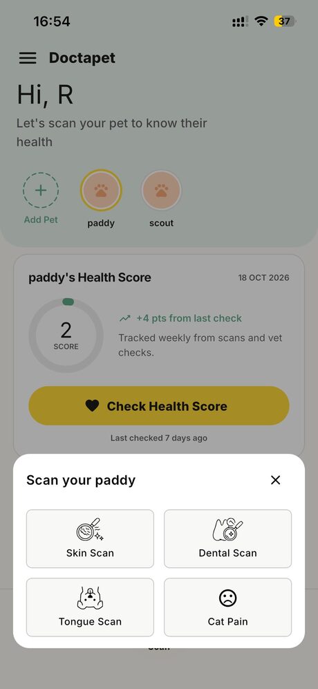 Doctapet app photo check screen